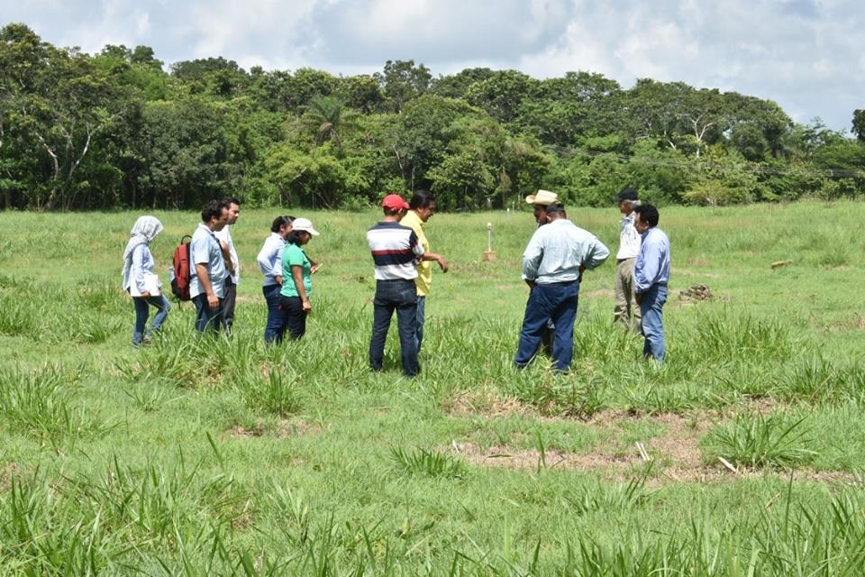 WhatsApp Image 2019 09 28 at 14.42.42