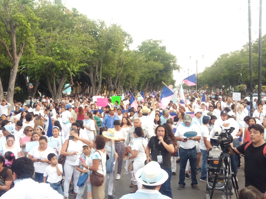 WhatsApp Image 2019 09 28 at 19.48.58