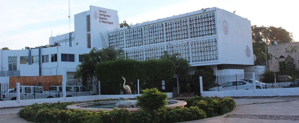 WhatsApp Image 2019 10 04 at 23.03.02