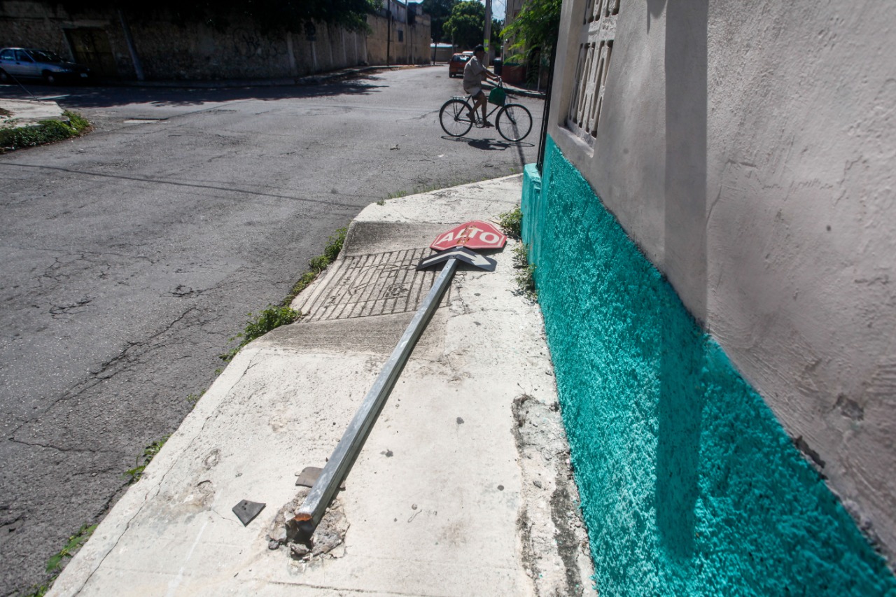 WhatsApp Image 2019 10 10 at 12.35.10 PM