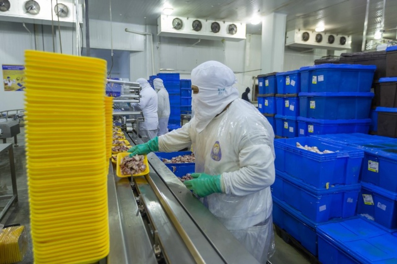 WhatsApp Image 2019 10 11 at 11.47.22 AM