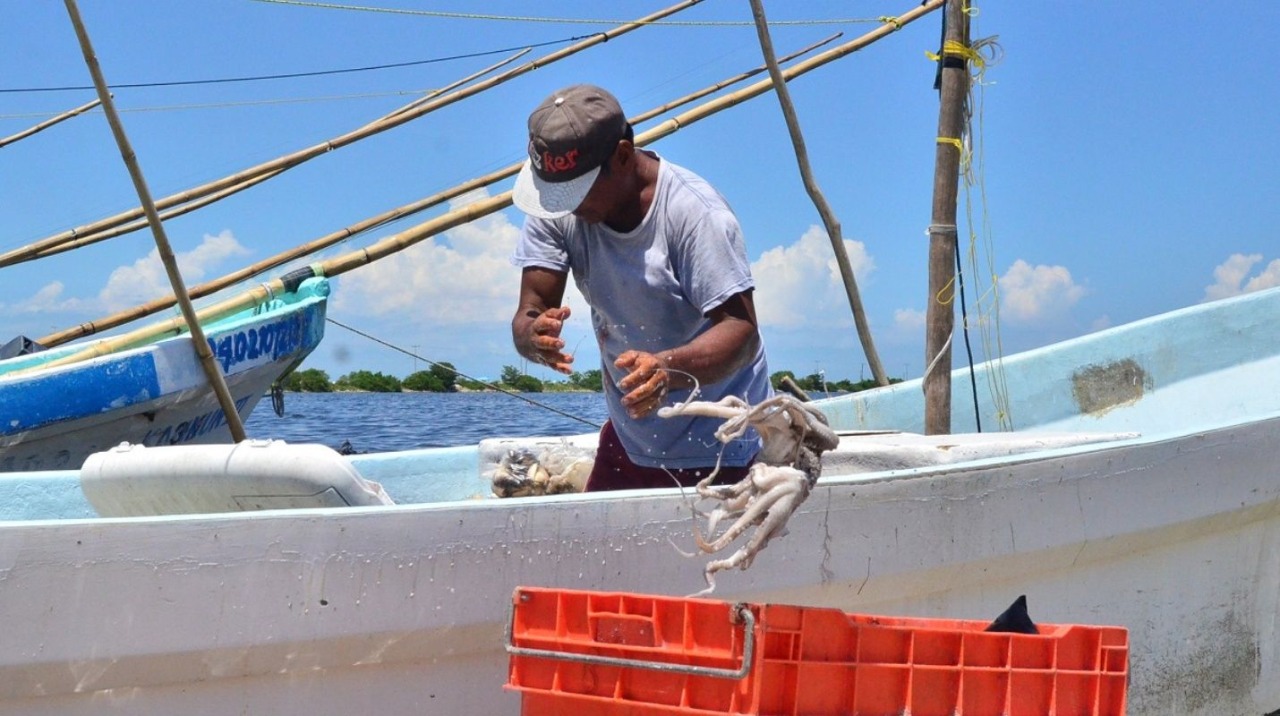 WhatsApp Image 2019 10 15 at 4.15.40 PM