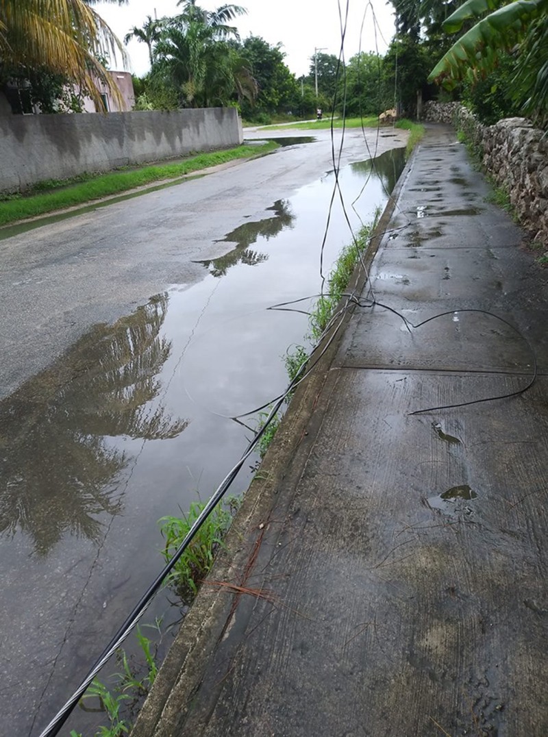 36a06fa1 8944 4f21 9a24 94866ce8d9d6