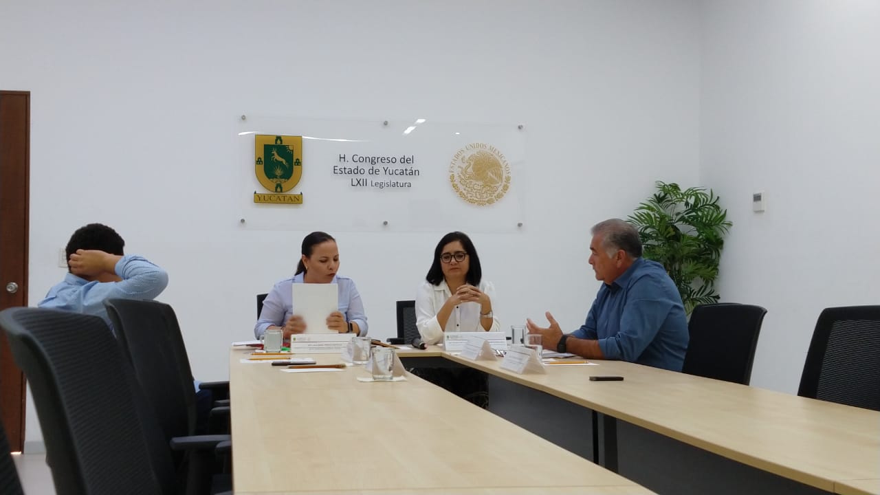 CONGRESO DIPUTADOS PLANTADOS