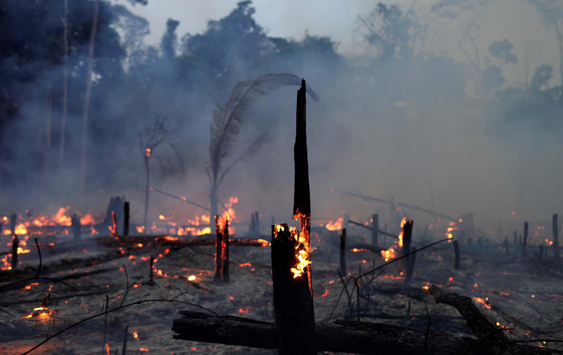 A fire burns a tract of Amazon jungle as it is cleared by a farmer in Machadinho do Oeste, Rondonia state