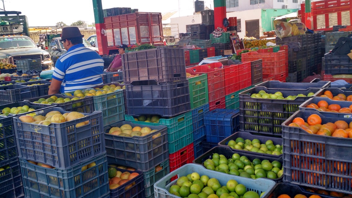 WhatsApp Image 2019 11 03 at 9.37.45 AM