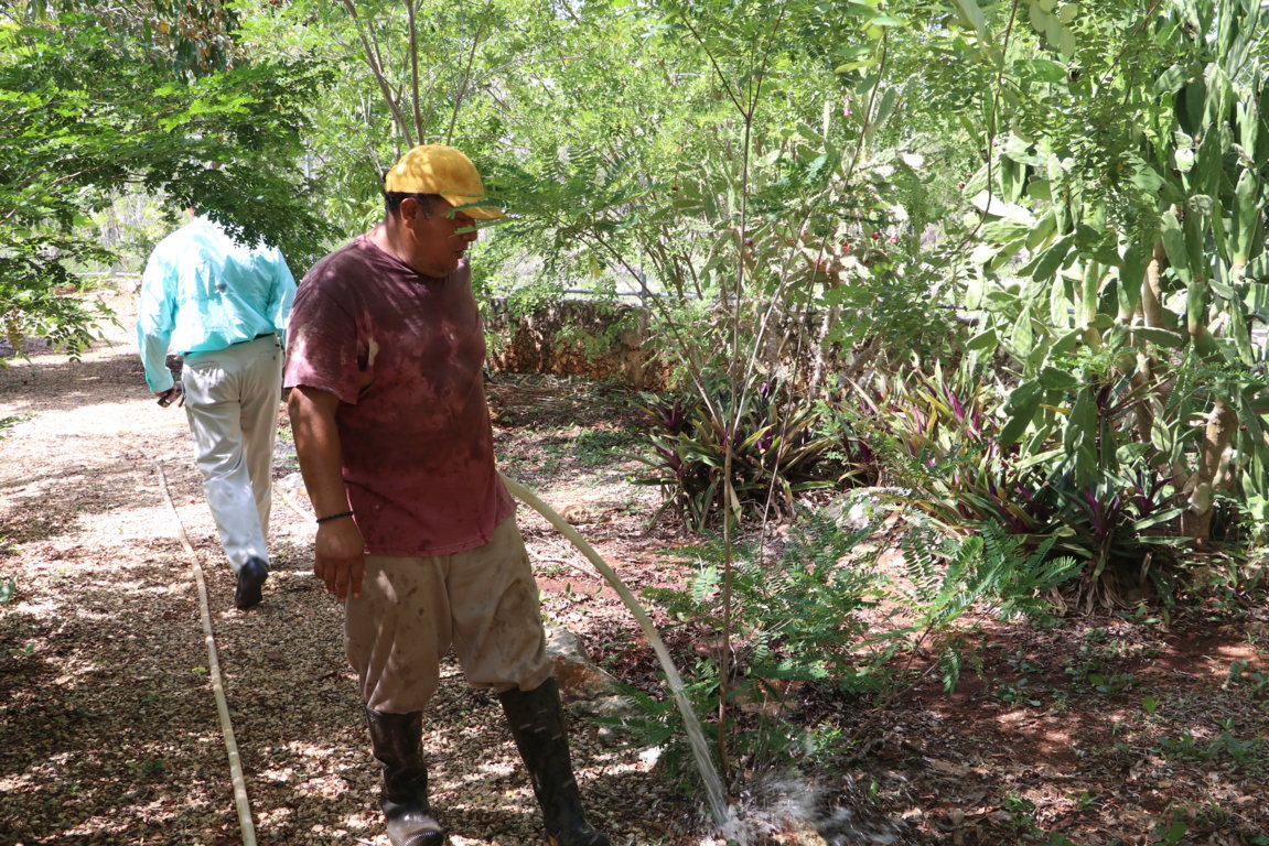 WhatsApp Image 2019 11 16 at 4.27.31 PM