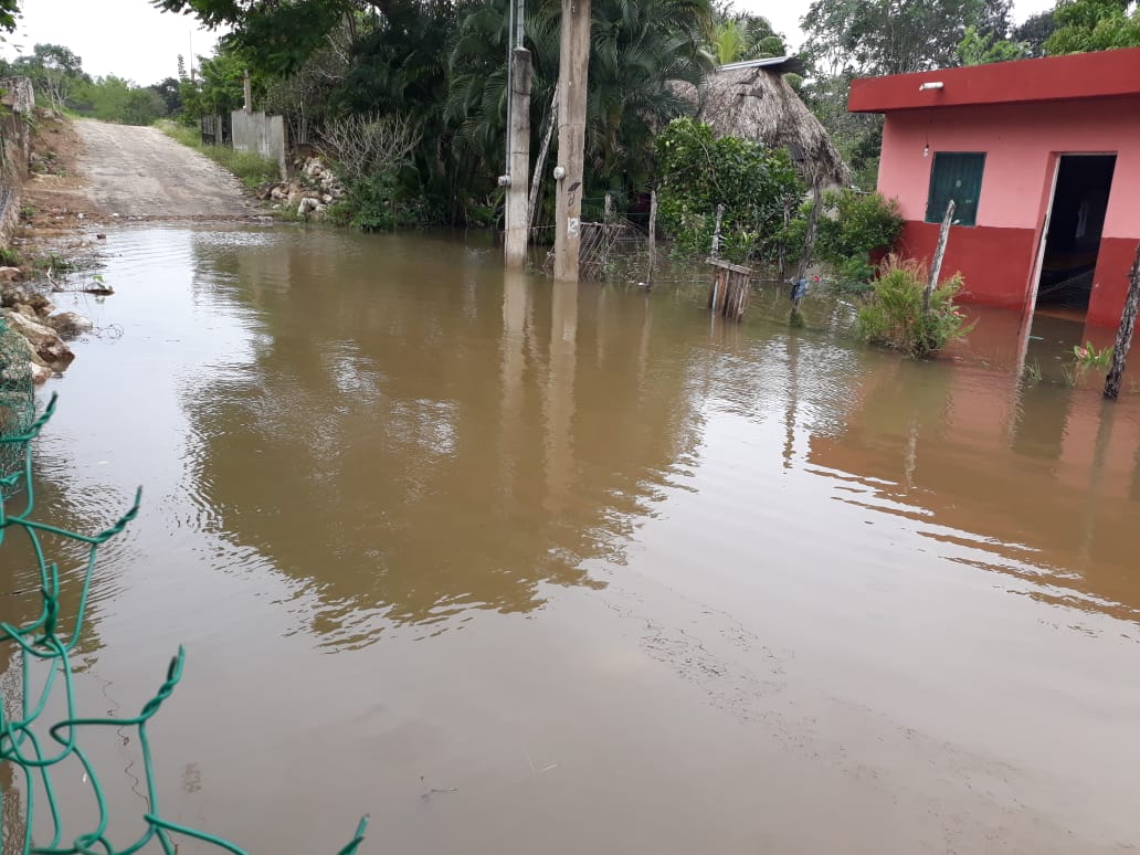 WhatsApp Image 2019 12 18 at 5.42.36 PM (3)