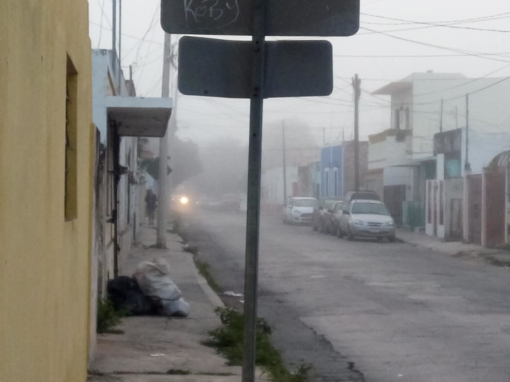 WhatsApp Image 2019 12 28 at 8.27.13 AM