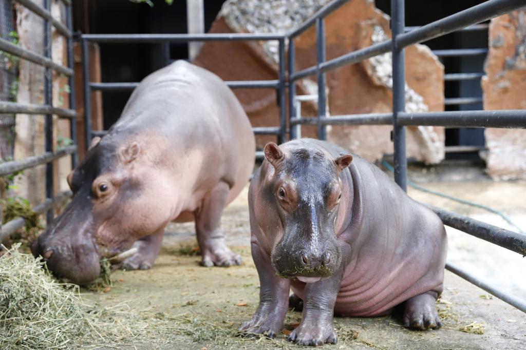 WhatsApp Image 2019 12 29 at 11.31.03 AM (7)