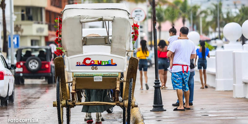 Cozumel ley proteccion