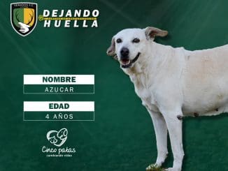 WhatsApp Image 2020 02 13 at 1.24.33 PM