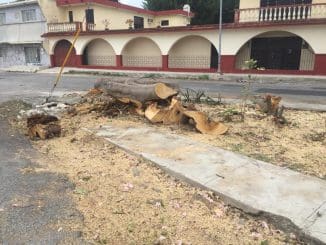 WhatsApp Image 2020 02 21 at 1.58.58 PM