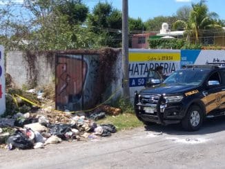 WhatsApp Image 2020 02 24 at 12.26.44 PM