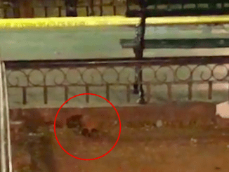 Captura de pantalla 2020 03 08 a la(s) 20.07.31