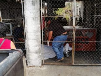 MULSAY CARNICERO INFARTADO (4) (1)