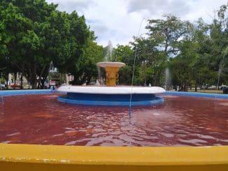 WhatsApp Image 2020 03 09 at 1.27.53 PM (1)