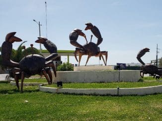 WhatsApp Image 2020 03 11 at 10.27.23 AM