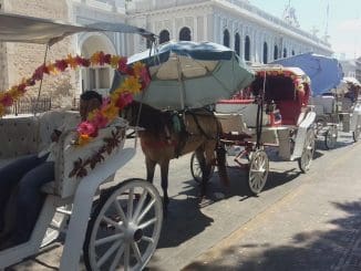 WhatsApp Image 2020 03 21 at 12.01.44 PM