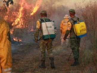 WhatsApp Image 2020 03 25 at 11.55.49 AM