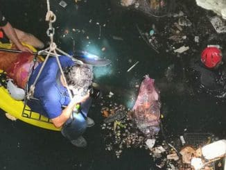 Basura cenotes formula qr