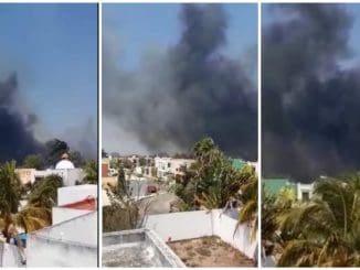 WhatsApp Image 2020 04 12 at 3.52.49 PM