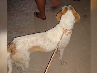 WhatsApp Image 2020 04 18 at 9.20.07 AM