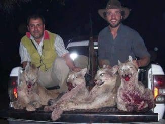 WhatsApp Image 2020 04 22 at 8.52.20 AM