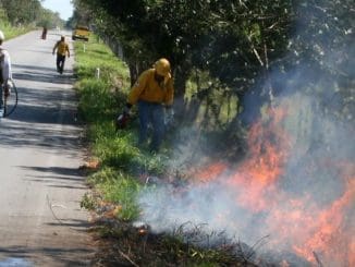Incendios