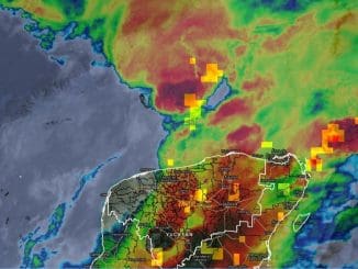 WhatsApp Image 2020 05 10 at 1.01.05 AM (1)