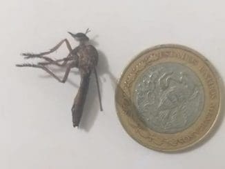 102921525 3007479945973033 2714378984053520157 o