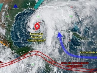 WhatsApp Image 2020 06 07 at 11.09.21 AM