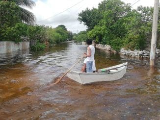 WhatsApp Image 2020 06 08 at 11.18.47 AM (1)