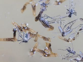 WhatsApp Image 2020 06 08 at 7.36.27 PM