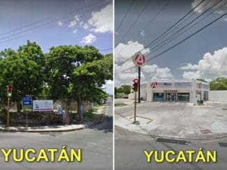 WhatsApp Image 2020 06 12 at 9.56.48 AM