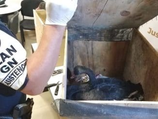 WhatsApp Image 2020 06 13 at 3.02.13 PM