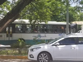 WhatsApp Image 2020 06 20 at 12.58.48 PM