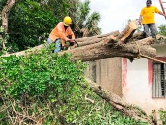 WhatsApp Image 2020 06 24 at 10.07.26 AM