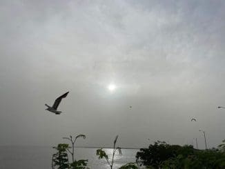 WhatsApp Image 2020 06 25 at 10.38.40 AM