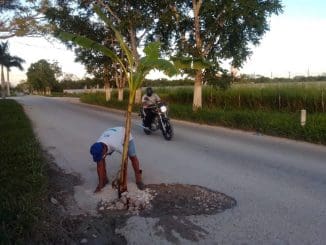 SITILPECH BACHE PLANTA (2)