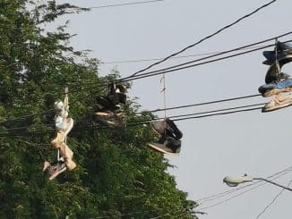 WhatsApp Image 2020 07 01 at 2.55.16 PM (1)