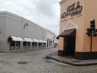 WhatsApp Image 2020 07 04 at 2.56.49 PM (1)