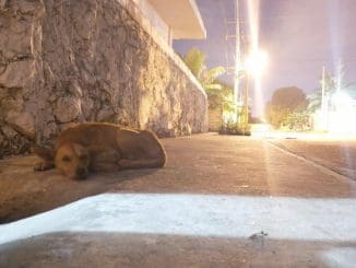 WhatsApp Image 2020 07 26 at 9.17.24 AM