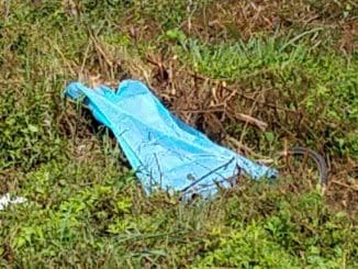 WhatsApp Image 2020 07 27 at 2.05.27 PM