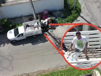 WhatsApp Image 2020 07 28 at 1.42.47 PM