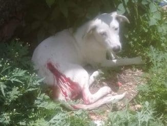 WhatsApp Image 2020 07 28 at 12.10.45 PM