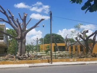 WhatsApp Image 2020 07 29 at 1.13.29 PM