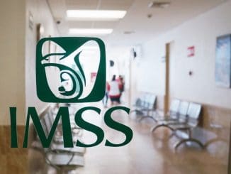 Imss1