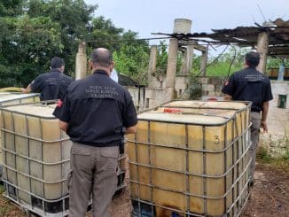 CATEO HIDROCARBUROS (3)