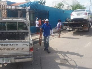 WhatsApp Image 2020 08 12 at 12.04.06 PM